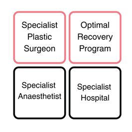 Specialist Plastic Surgeon (2)