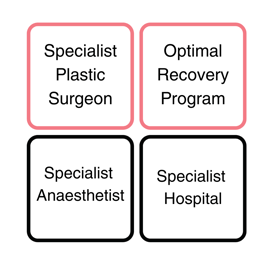 Specialist Plastic Surgeon (2)