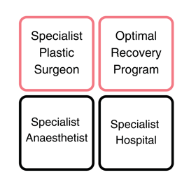 Specialist Plastic Surgeon (2)