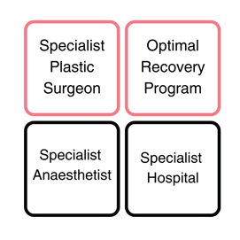 Specialist Plastic Surgeon (2)