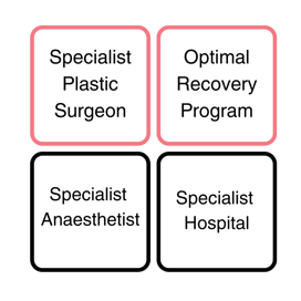 Specialist Plastic Surgeon (2)