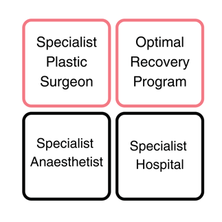 Specialist Plastic Surgeon (2)